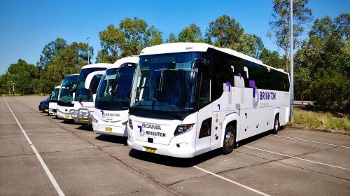 Port Stephens Experience + Sydney Hop-on-Hop-off Bus Ticket Day Tours
