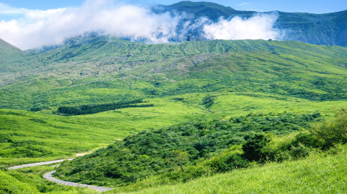 Kyushu 1-Day Tour from Fukuoka: Kamikashima Kumano Shrine, Mount Aso & Kurokawa Onsen