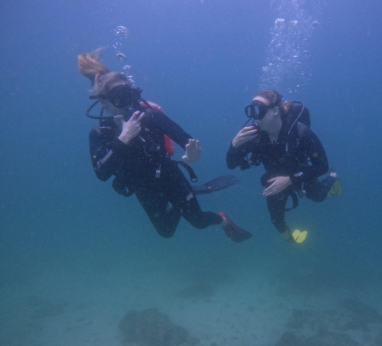 From Dubai: 2 Dives for Certified Divers with Transfer