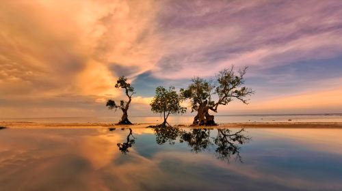 Siquijor Island Round-the-Island Tour - Waterfalls, Cliff Jumping, Snorkeling & Lazi Enchanted Balete Tree