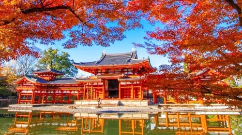 Osaka: Nara and Uji Day Trip with Deer Park and Hot Spring