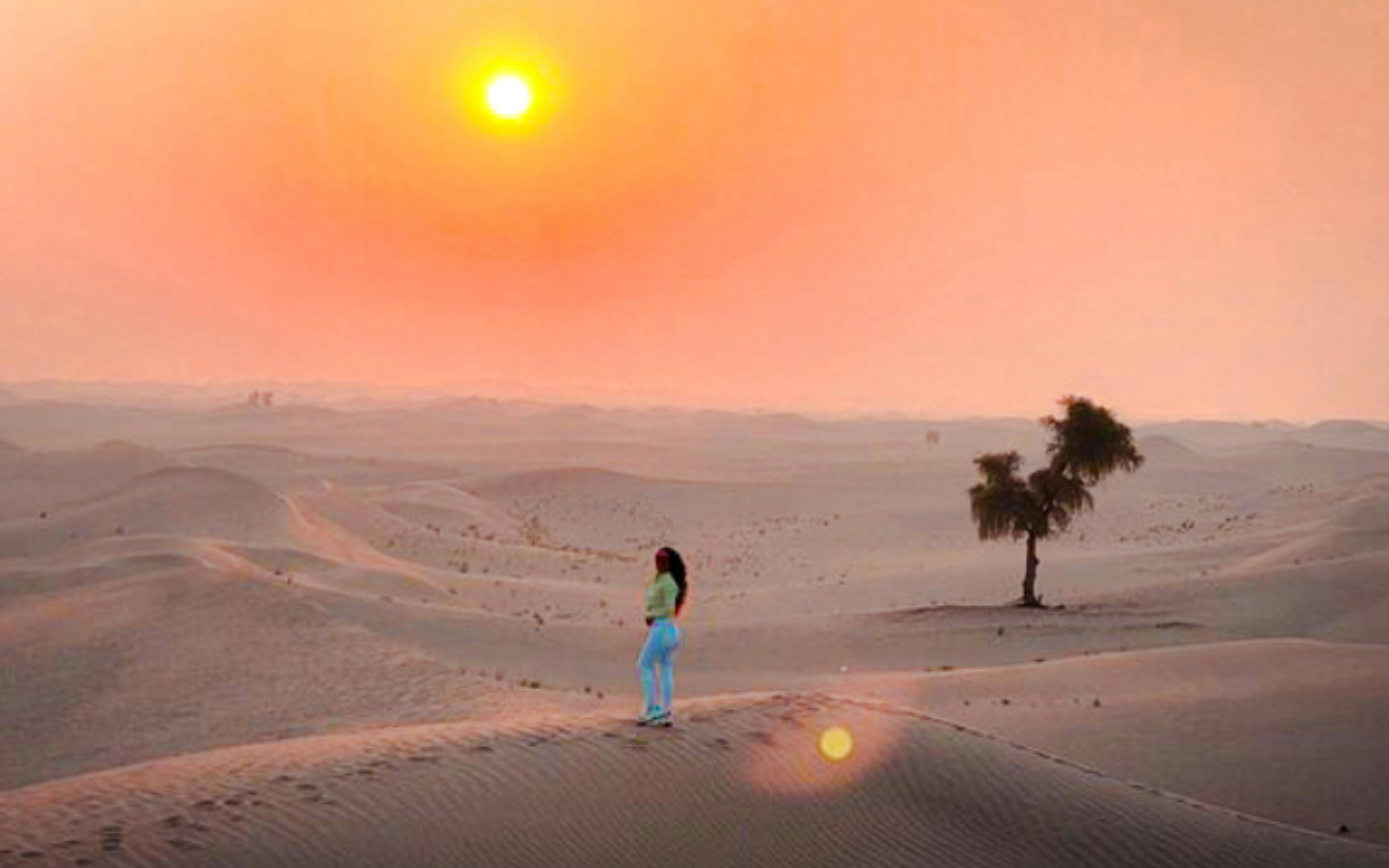 Abu Dhabi Morning Desert Safari with Camel Ride, Dune Bashing & Sandboarding