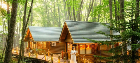 1-day tour to Asahiyama Zoo in Hokkaido: Shirogane Blue Pond (Aoiike) + Shirahige Waterfall + Ningle Terrace + viral tree