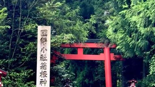 [9-Person Group] Hakone In-Depth Day Tour: Lake Ashi Cruise / Owakudani Cable Car / Tokyo Night View