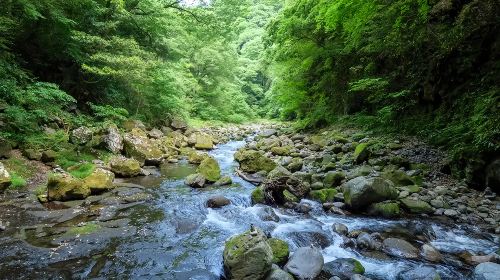 1-day tour to the origin of Kyushu myths – exploring Takachiho Gorge