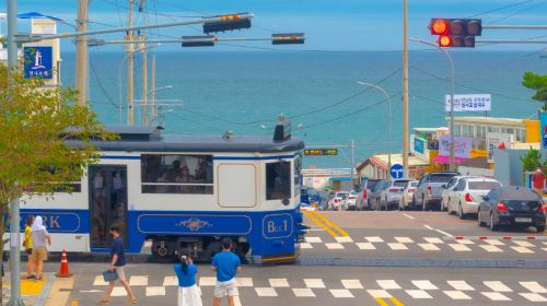Busan One Day City Tour with Blueline Park Songjeong Beach Train
