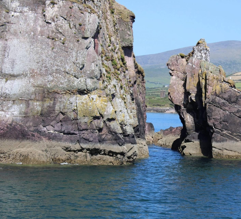 Dingle: Dingle Bay Cliffs Boat Tour with Guide (1 Hour)