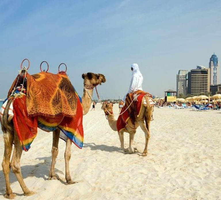 Dubai: Private custom tour with a local guide