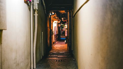 Kyoto Bar Hopping Night Tour Day Tours