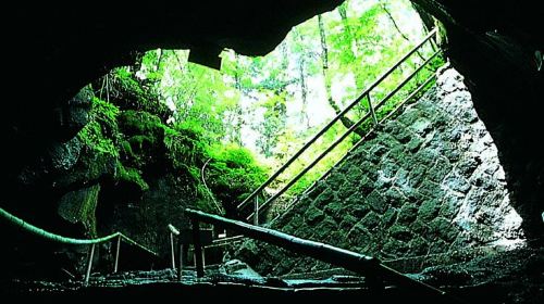 Narusawa Ice Cave Day Tours