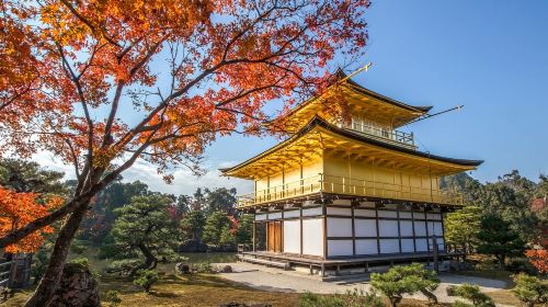 From Osaka Port: Private 10-Hour Kyoto Tour (with Customizable Itinerary)