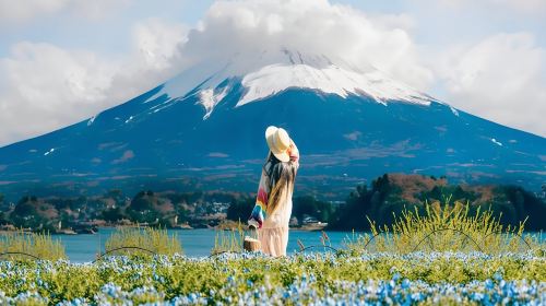 From Yokohama Port: Private 10-Hour Mount Fuji Tour