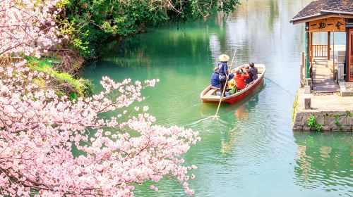 1-day tour to Yanagawa cruise + Itoshima – Dazaifu Tenmangu Shrine