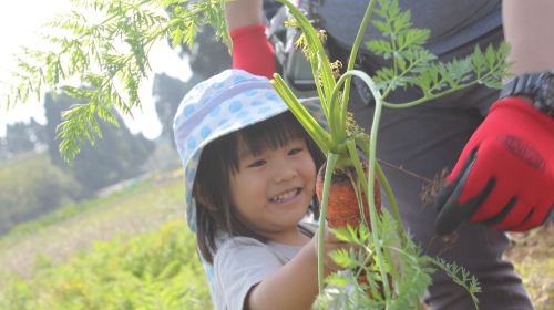 Smile Village Someya Farm - Unique Japanese Local Farm Experience