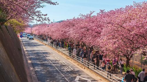 Best of Tokyo Private Tour English Driver &Customizable Itinerary Day Tours