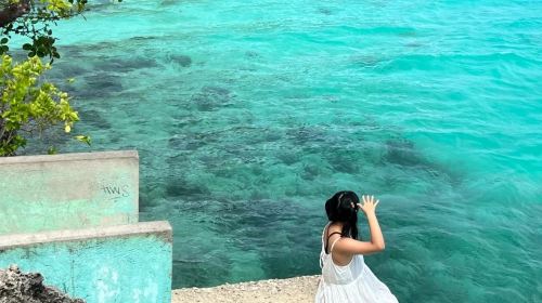 Siquijor Island Round-the-Island Tour - Waterfalls, Cliff Jumping, Snorkeling & Lazi Enchanted Balete Tree