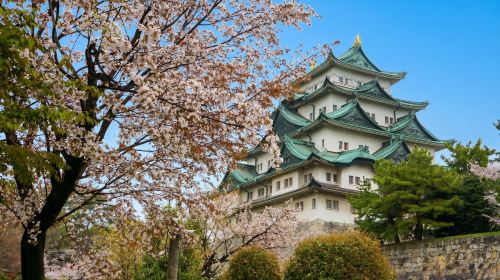 Nagoya Highlight Day Tour with Osu Street & Osu Kannon from Osaka