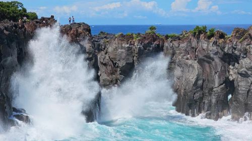 Tokyo 1-day tour to Mt. Omuro + Jogasaki Coast + Ito Marine Town, including free cable car ride at Mt. Omuro