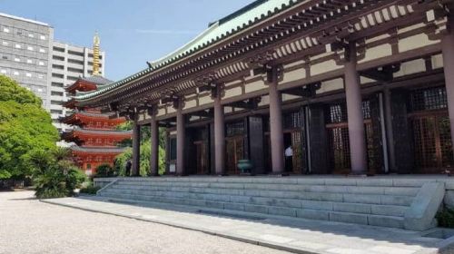Fukuoka: Hakozaki Shrine, Tocho-ji Temple, & Ohori Park Tour Day Tours