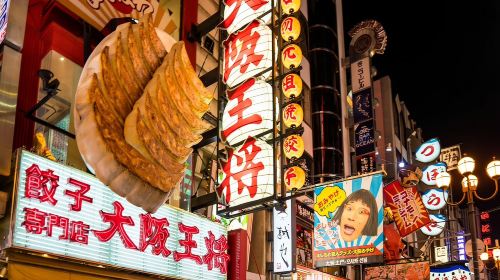 Explore Dontonbori - Haf-Day Food Tour Day Tours