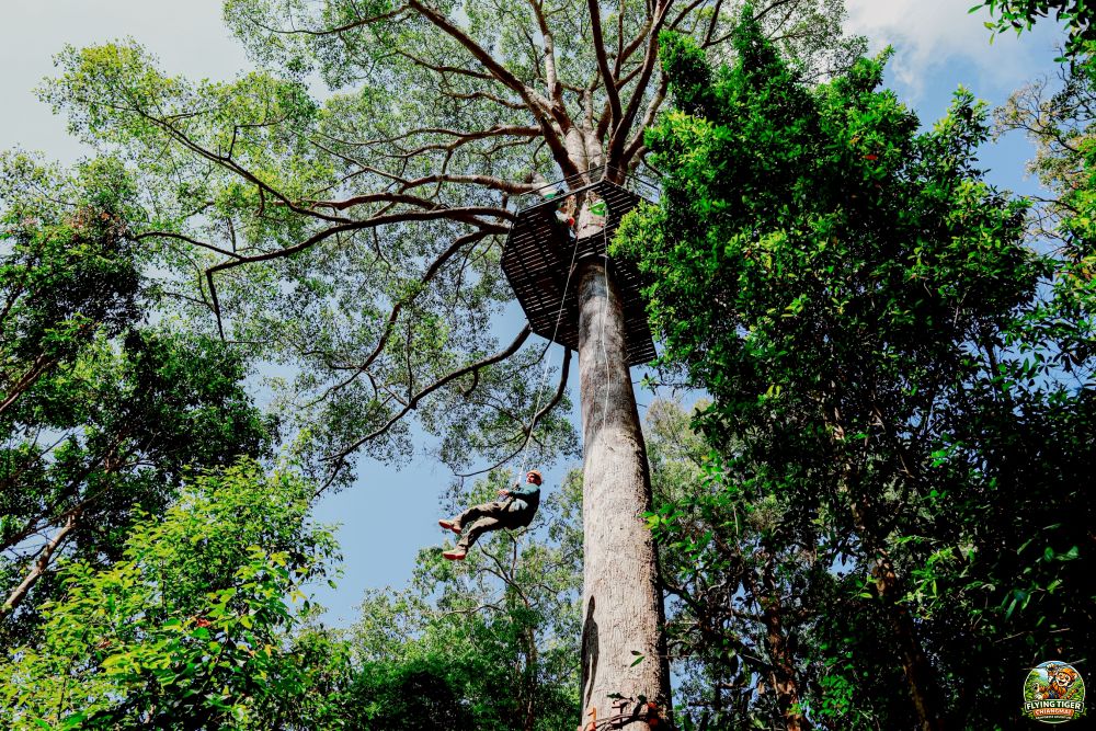 Flying Tiger Zipline Chiang Mai