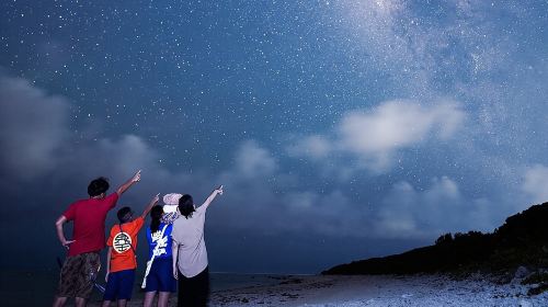 Okinawa Ishigaki Island Night Starry sky and Jungle night tour Day Tours