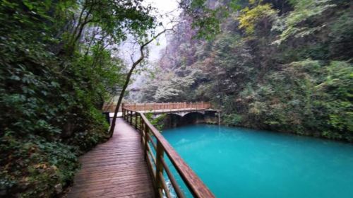 Zhangjiajie National Forest Park 1 - Day Tour with VIP Fast - Track Entrance and Eco - Bus Access