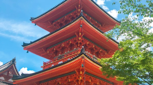 1-day tour to Nara Park deer + Fushimi Inari Taisha + Kyoto ancient temples in Kansai, Japan
