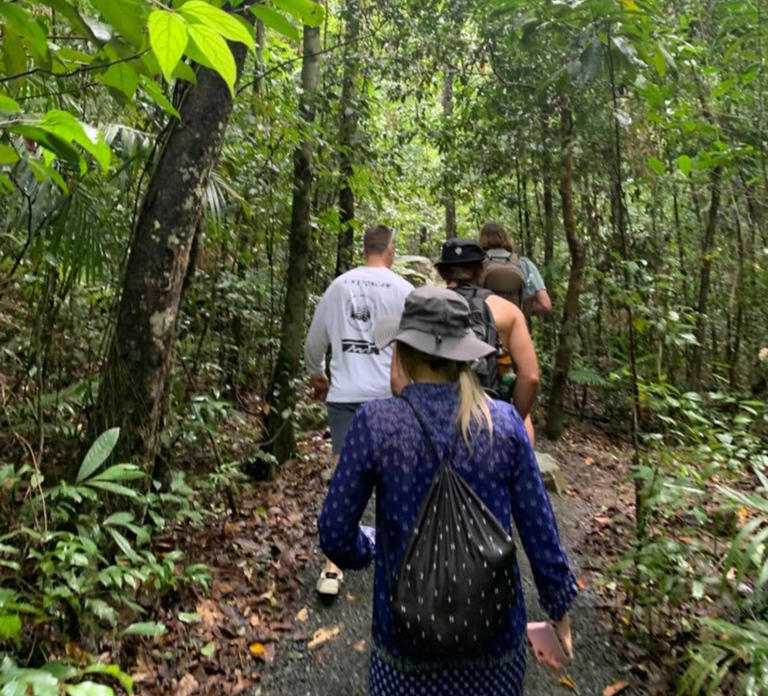 Mackay: Finch Hatton Gorge Hike, Swim & Platypus Adventure