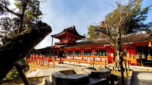 Kyoto: Nara, Todaiji, Kasuga Taisha Shrine Private Full Day Day Tours