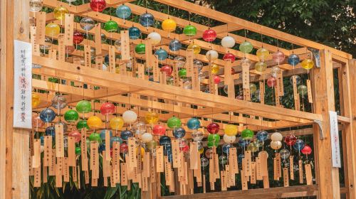 1-day tour from Tokyo to Karuizawa and Kawagoe Hikawa Shrine Day Tours