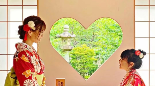 Nara Park + Uji 1-day tour, feed adorable deer, taste matcha, admire maple leaves