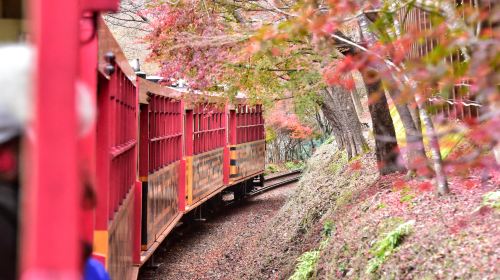 Kyoto Arashiyama 1-day Tour – Sagano Scenic Railway, Bamboo Forest Path