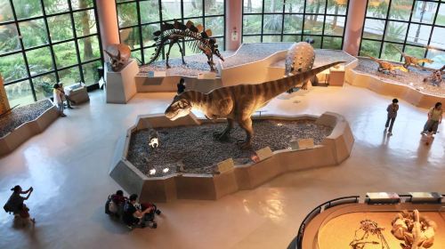 Botanical Garden of National Museum of Nature Science