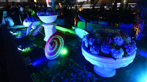 Osaka Dotonbori Night Tour – GIRAFFE NIGHTCLUB Admission Ticket
