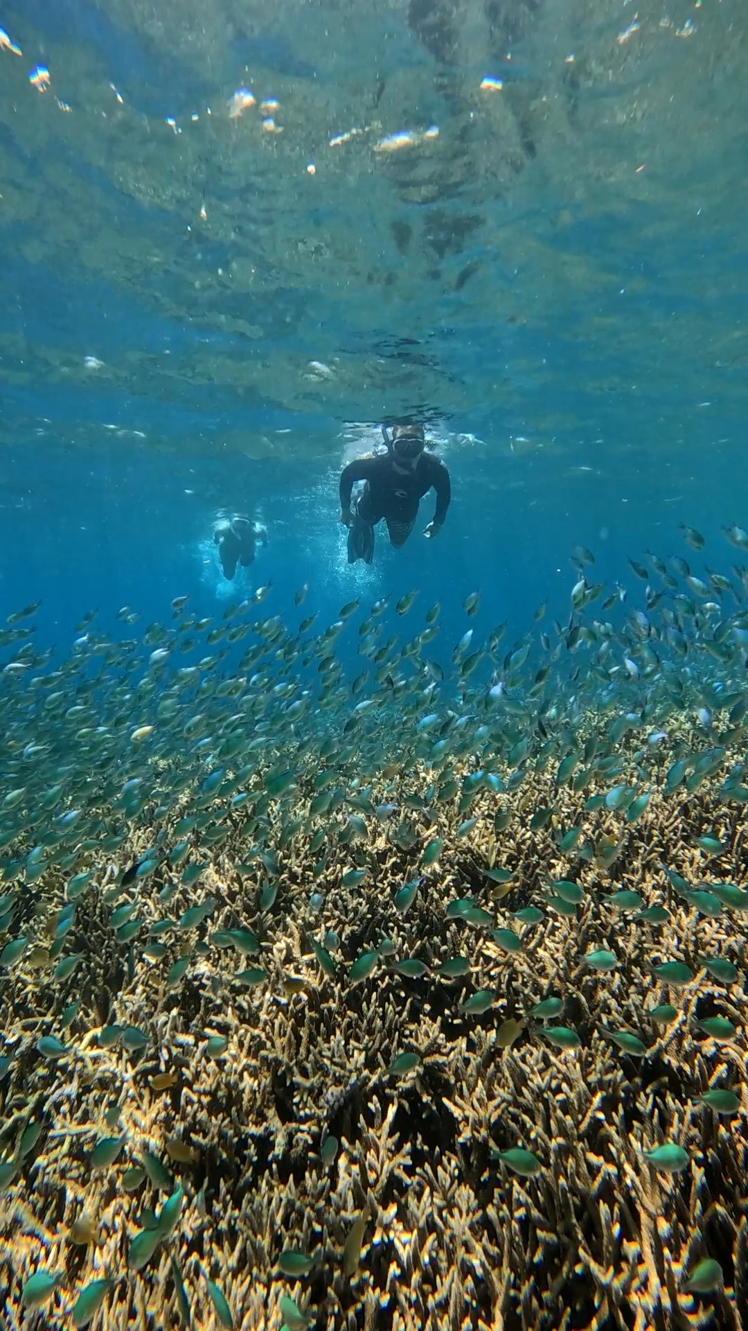 Secrate Island Private Snorkling Tour in lombok with go pro