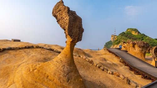 Yehliu/Jiufen/Pingxi/Shifen Old Street/Waterfall Day Tour from Taipei Day Tours
