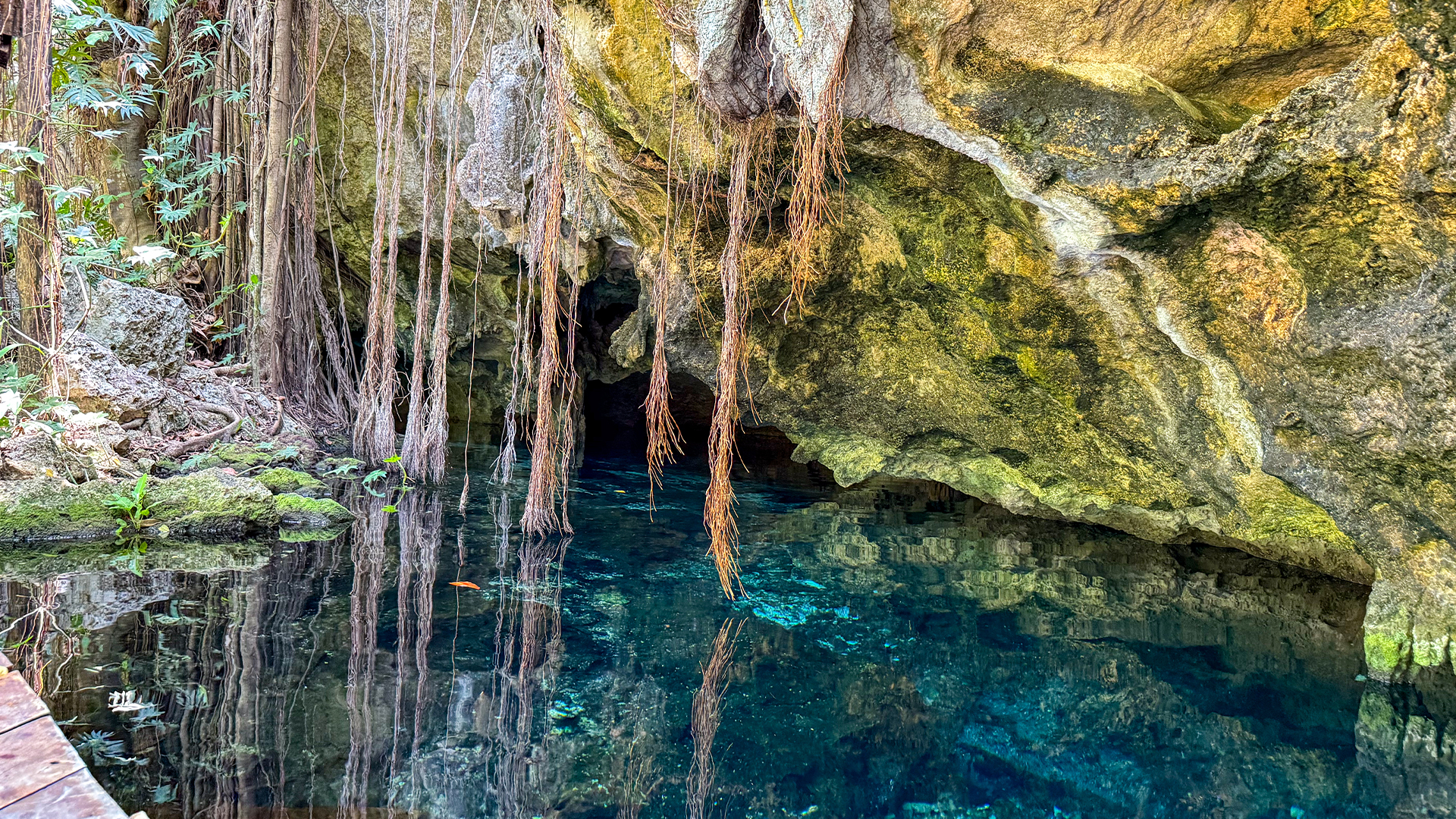 Tulum, Coba, Caves Snorkel and Cenote Tour