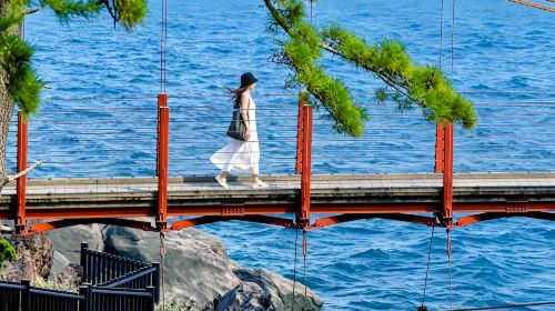 Japan Tokyo Izu 1-day tour – Mt. Omuro, zoo, scenic train experience