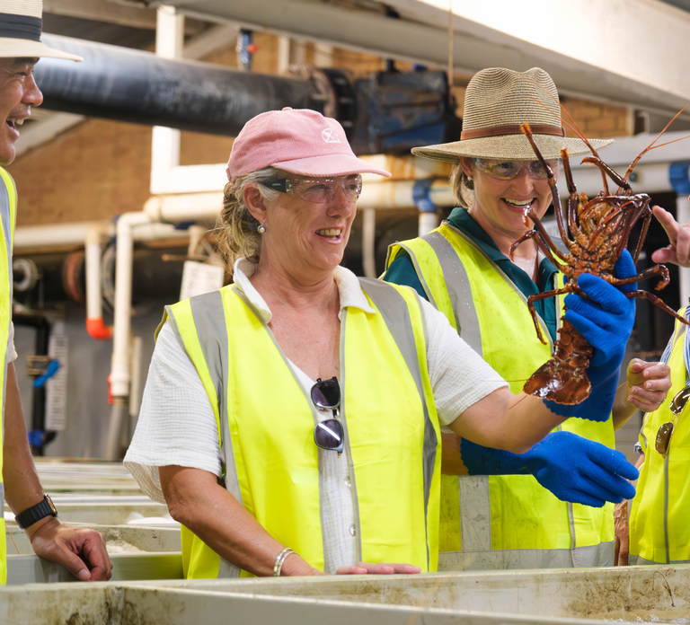 Geraldton: Behind-The-Scenes Ocean Harvest Tour