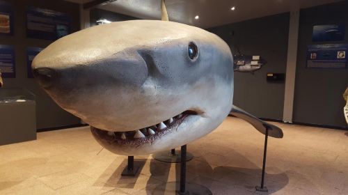 Aquarium d'Amneville