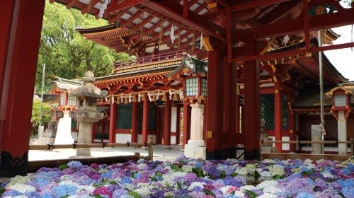 1-day tour to Yanagawa cruise + Itoshima – Dazaifu Tenmangu Shrine