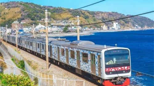 Izu Omuroyama Day Tour from Tokyo: Mt. Omuro, Shaboten Zoo & Jogasaki Coast