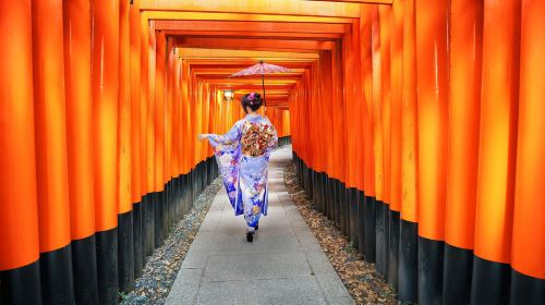 Kyoto & Nara 7 Major Spots Highlights Day Tour