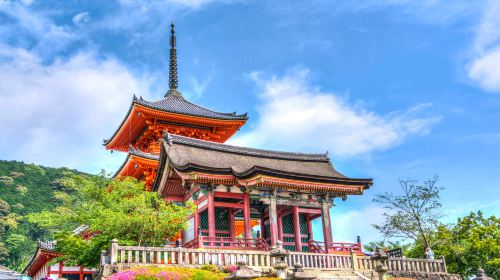 1-day tour to ancient temples in Kyoto + Fushimi Inari Taisha in Japan Day Tours