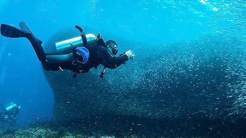 From Cebu: Moalboal Sardine Snorkeling + ATV Off-Road Adventure Day Tour