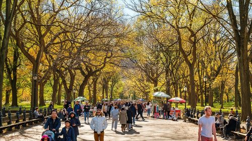 Central Park Private Pedicab Tour (60 mins) Day Tours