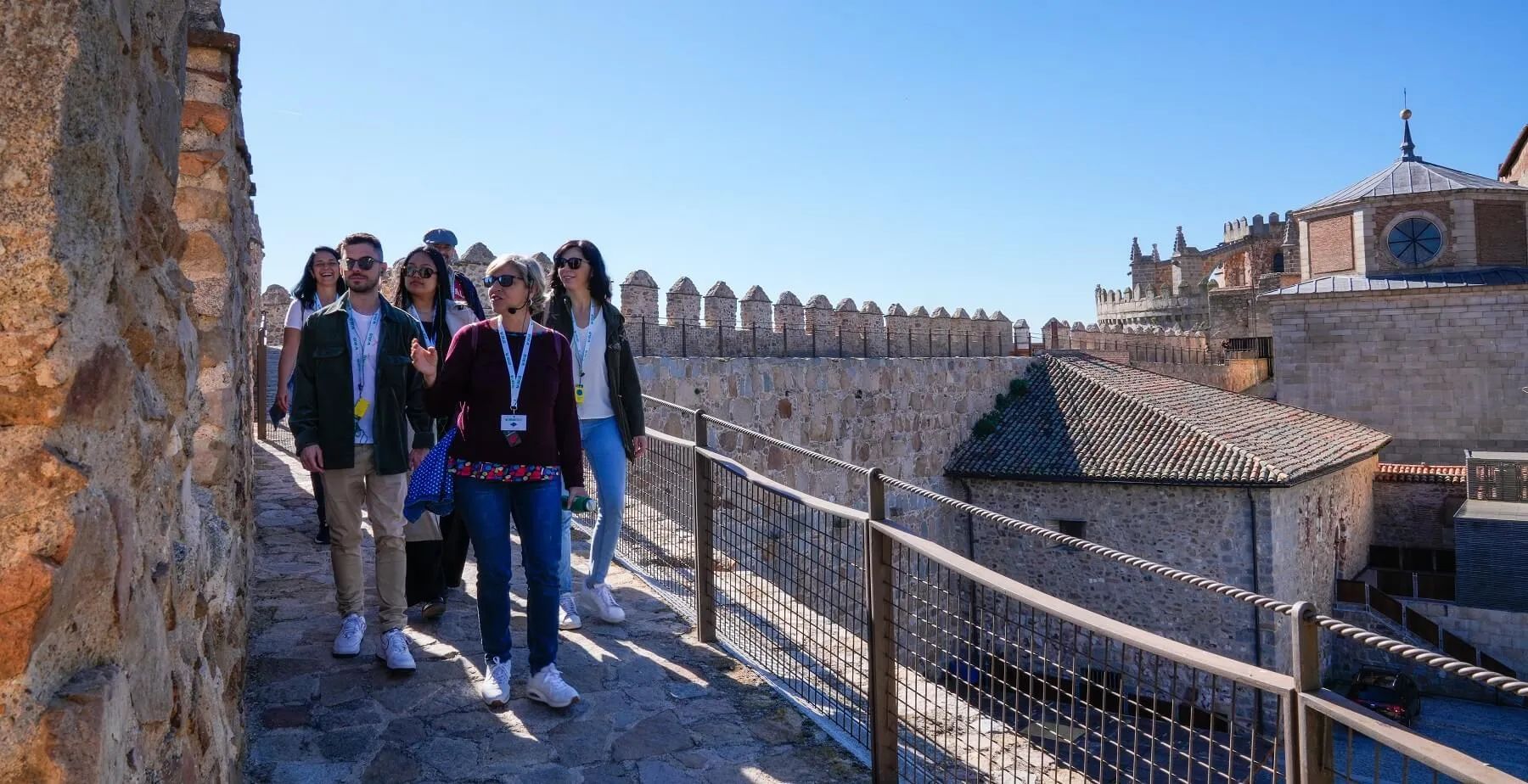 Segovia & Avila with Walls and optional Gastronomic Lunch