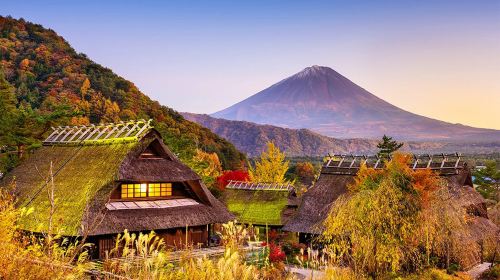 One-Day Tour of Mount Fuji: Arakurayama Sengen Park, Lake Kawaguchi & Oshino Hakkai Day Tours