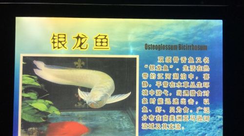 Shaoxingziran Museum